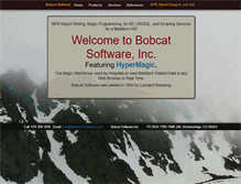 Tablet Screenshot of bobcat-software.com